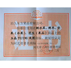 2012年玉晶商標延續(xù)